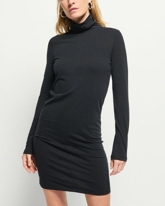 Astrid Turtleneck Dress